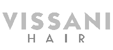 logo_08_vissani